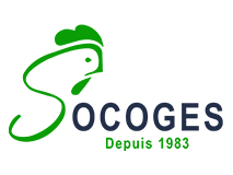 Socoges Business Consulting