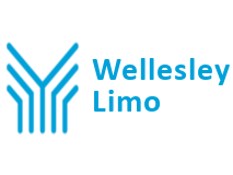 Wellesley Limo Website